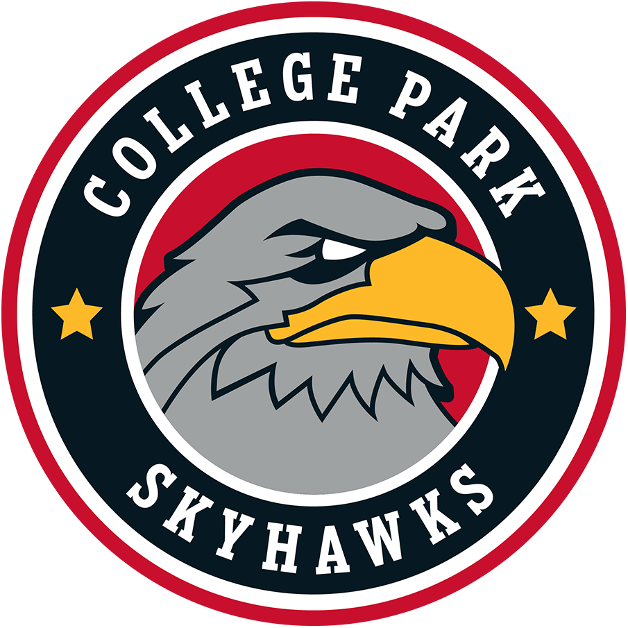 College Park Skyhawks 2019-Pres Primary Logo iron on heat transfer